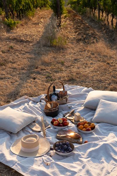 Picnic