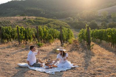 Picnic