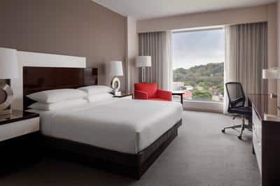 Deluxe King, Deluxe Guest Room