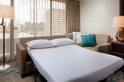 King Guest Room Sofa Bed