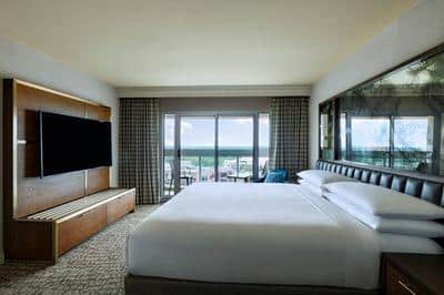 One Bedroom Suite Water View