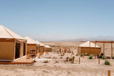 Discovery Tent