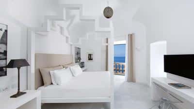 Camelia Suite