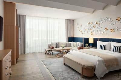 Deluxe City View Room