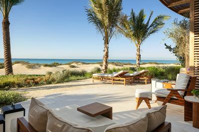 Mangroves Suite