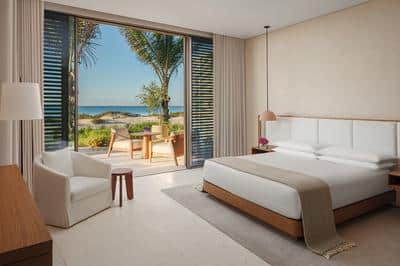 Mangroves Suite