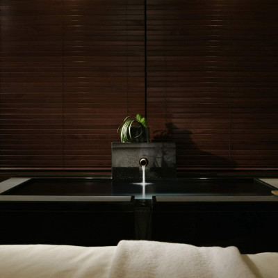 Hyatt Regency Hakone Resort And Spa image