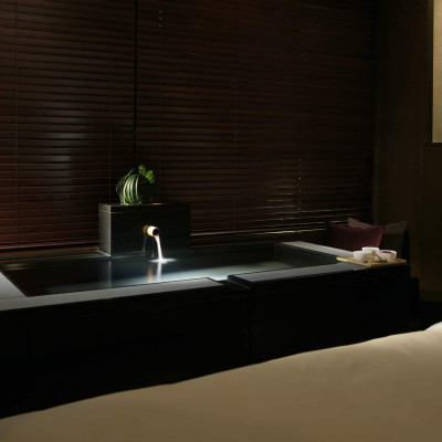 Hyatt Regency Hakone Resort And Spa image