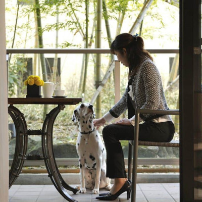 Hyatt Regency Hakone Resort And Spa image