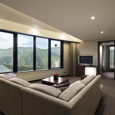 Hyatt Regency Hakone Resort And Spa image