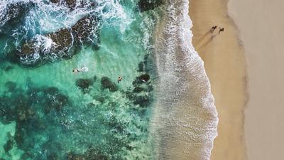 Snorkelling