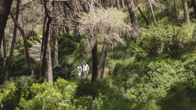 Hiking