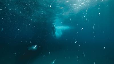 Diving
