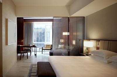 Studio Suite, King (ADA Shower)