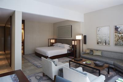 1 King Bed Suite