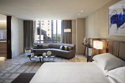 1-Bedroom Presidential Suite