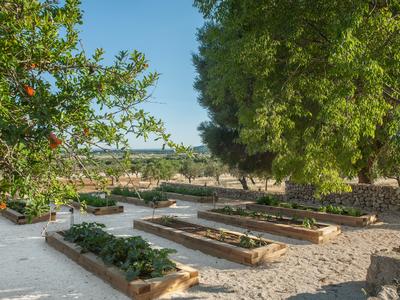 Kitchen Garden