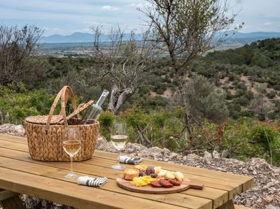 Picnic