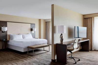 Executive King Studio Suite