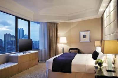Suite, One King Bed