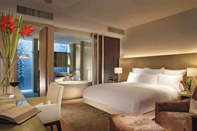 Large Guest Room, One King Bed