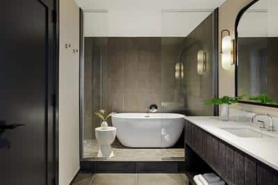 Separate Soaking Tub and Walk In Shower