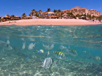 Grand Fiesta Americana Los Cabos
