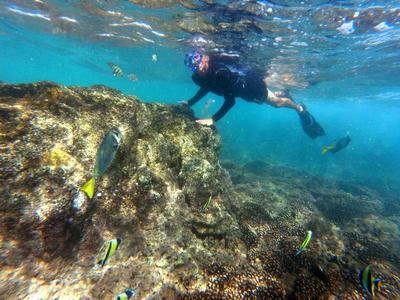 Snorkel