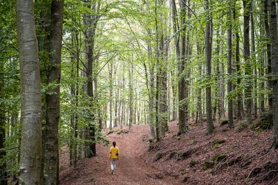 Trekking