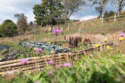 Organic farming