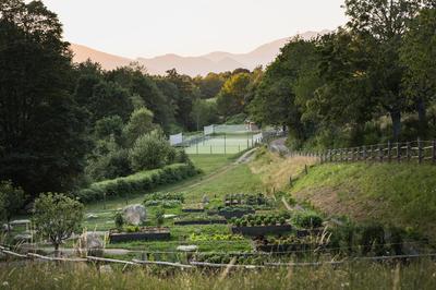 Vegetable Garden