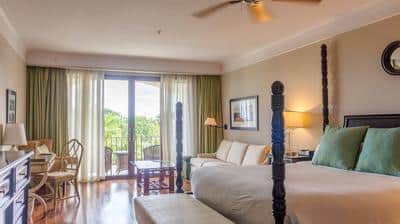 Premier, Larger Guest room, 1 King, Water view