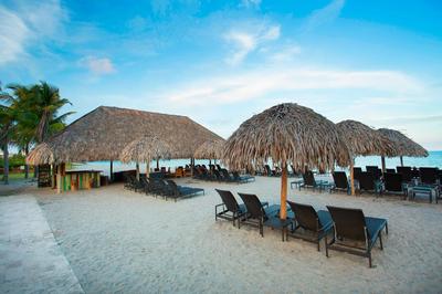 Beach Bar