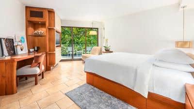 1 King Bed with Resort View