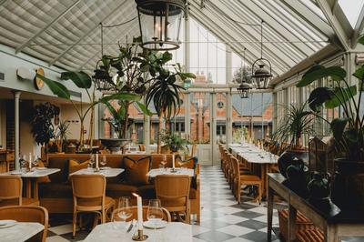 The Glasshouse