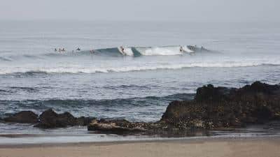 Surfing