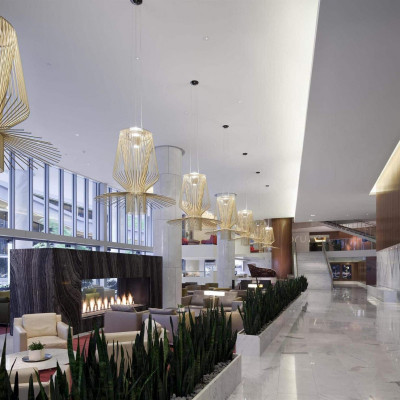 Fairmont Pacific Rim image