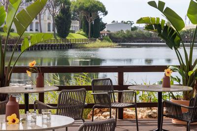 Apricus Lagoon Bar