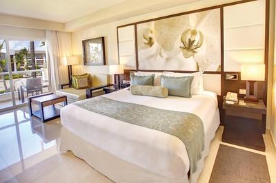 Luxury Guest Room