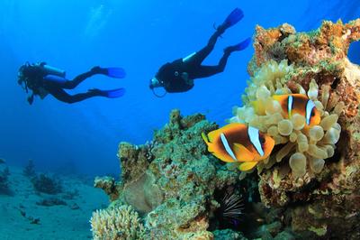 Scuba Diving