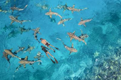 Snorkelling