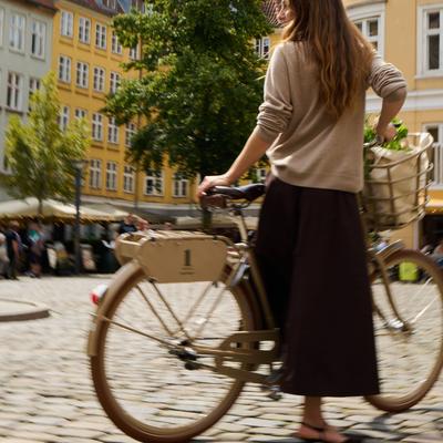 Bike Rentals