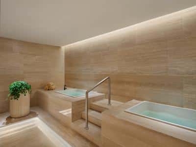 Hot Cold Plunge Pools
