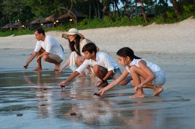 Family activity - Turtle release