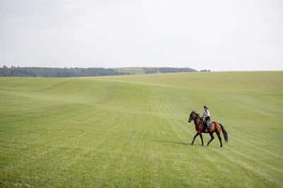 Horseback Riding