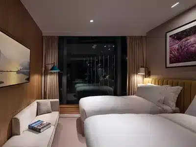 2 Twin Deluxe