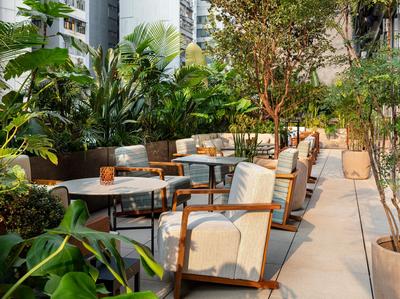 The Terrace