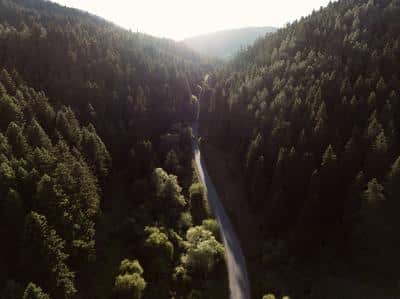 Surroundings