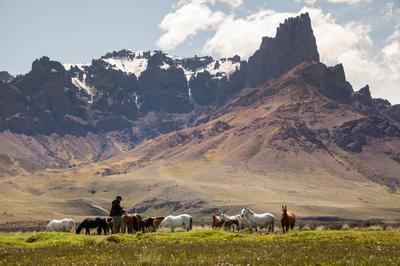 Horseback Riding