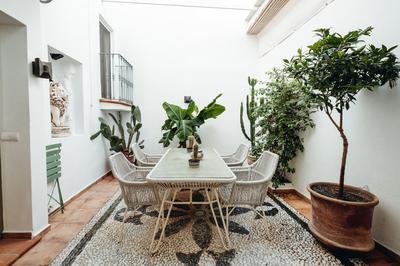 Casa Olivo
